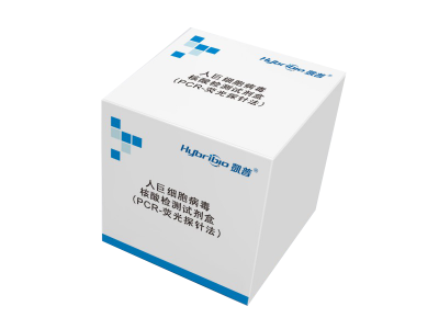 人巨細胞病毒核酸檢測試劑盒（PCR-熒光探針法）