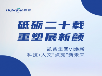 砥砺二十載 重塑展新顔丨6766澳门娱乐直营集團VI煥新 科技+人文“點亮”新未來