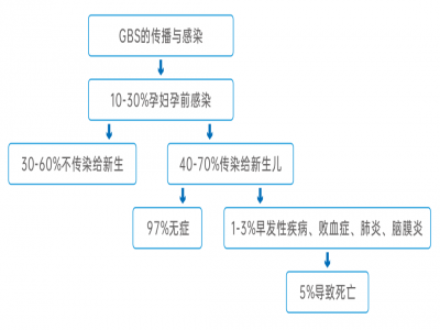 6766澳门娱乐直营B族鍊球菌核酸檢測試劑盒獲批上市
